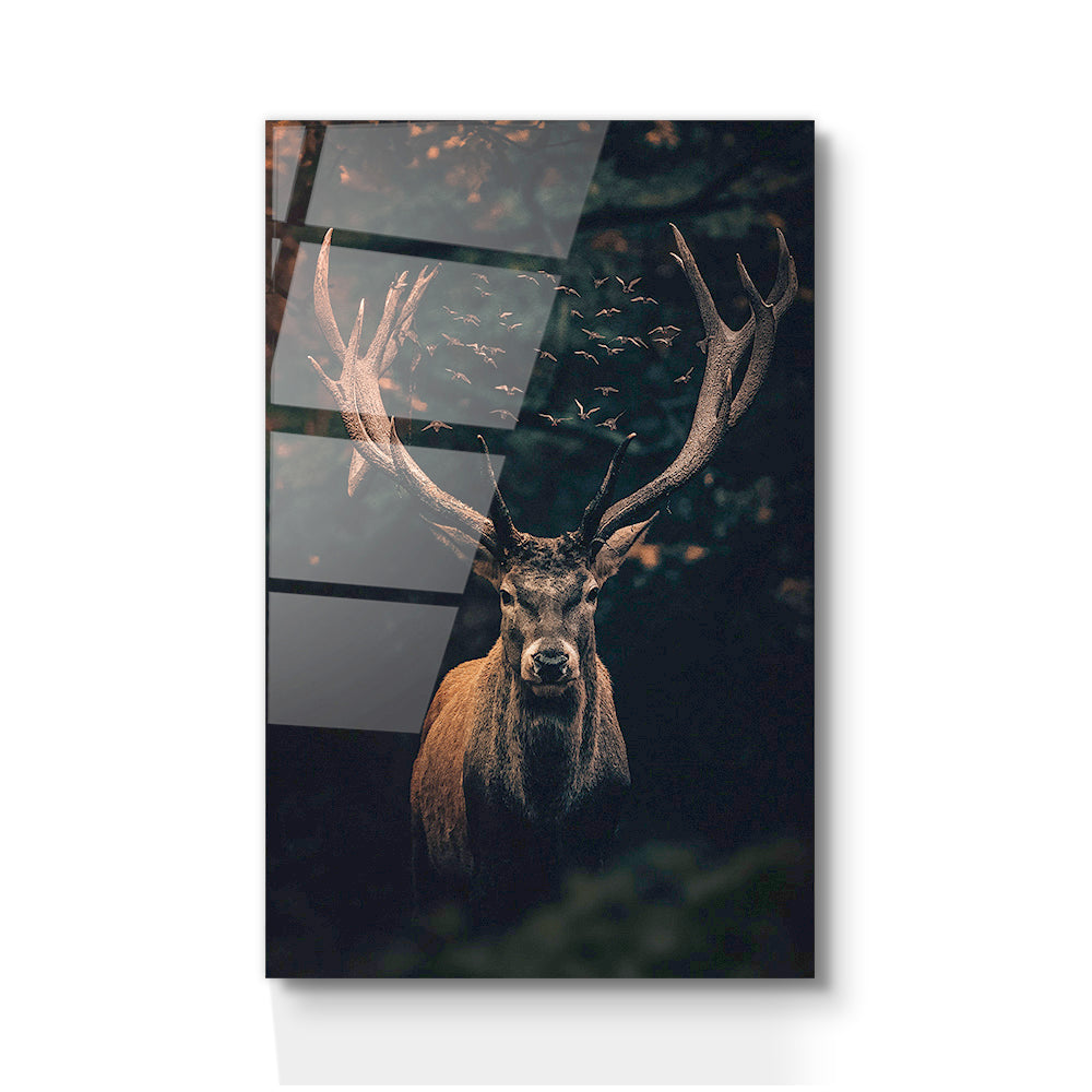 BUCKS GAZE