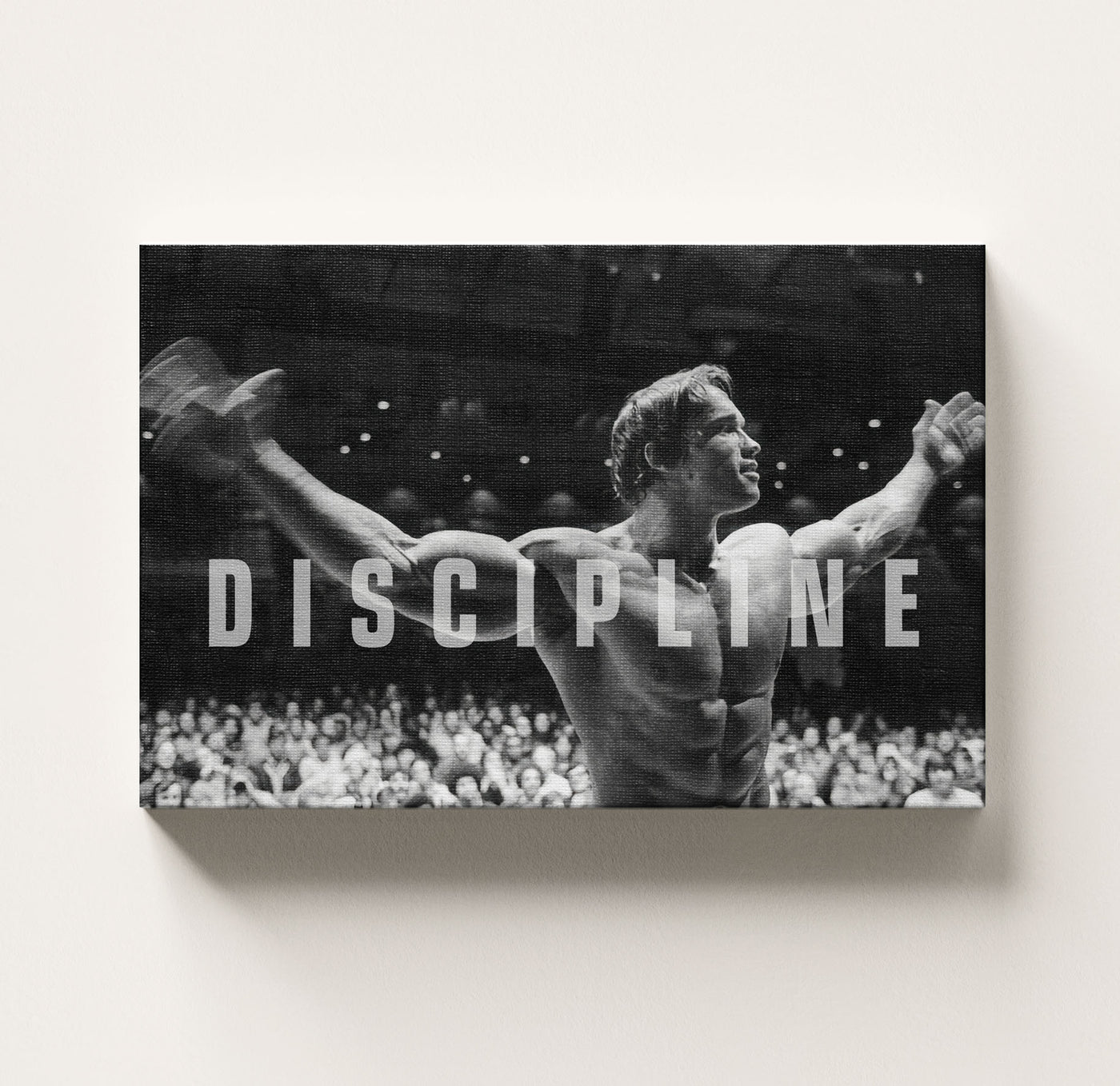 Discipline