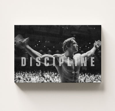 Discipline