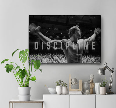 Discipline