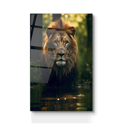 LION'S GAZE