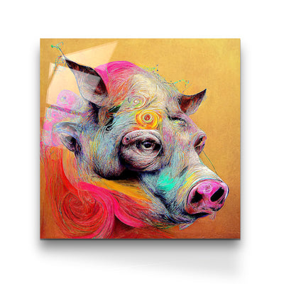 Colourful Pig